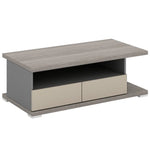 Load image into Gallery viewer, 55 inch Wide Rectangle Coffee Table for Office Room , Double-Deck Design | Spacious Storage