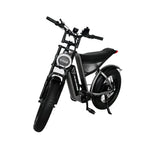 Load image into Gallery viewer, Arabian Mall D-3 Electric Fat Tire Bike | 1000W, 48V 18Ah, 20-Inch