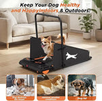 Load image into Gallery viewer, Dog Treadmill for Small & Medium Dogs – Quiet 2.5HP Motor, Remote Control, LED Display, Indoor Pet Exercise Machine