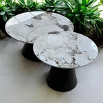 Load image into Gallery viewer, Elegant Modern Nesting Coffee Table Set (Pack of 2)