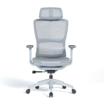 Load image into Gallery viewer, Ergonomic Mesh High-Back Office Chair with Adjustable Headrest and Lumbar Support – Full Mesh