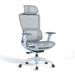 Load image into Gallery viewer, Ergonomic Mesh High-Back Office Chair with Adjustable Headrest and Lumbar Support – Full Mesh