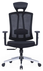 Load image into Gallery viewer, High Back Mesh Ergonomic Chair for Office with Chrome Base