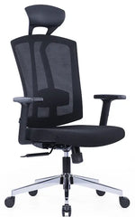 Load image into Gallery viewer, High Back Mesh Ergonomic Chair for Office with Chrome Base