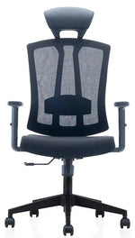 Load image into Gallery viewer, High Back Mesh Ergonomic Chair for Office with Chrome Base
