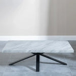 Load image into Gallery viewer, Industrial Coffee Table with Black Spider Legs