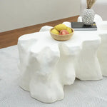 Load image into Gallery viewer, Luxury Nature Design Coffee Table