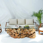 Load image into Gallery viewer, Luxury Teak Root Coffee Table, Naturally Unique Design