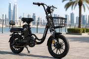 Electric Bikes