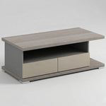 Load image into Gallery viewer, 55 inch Wide Rectangle Coffee Table for Office Room , Double-Deck Design | Spacious Storage