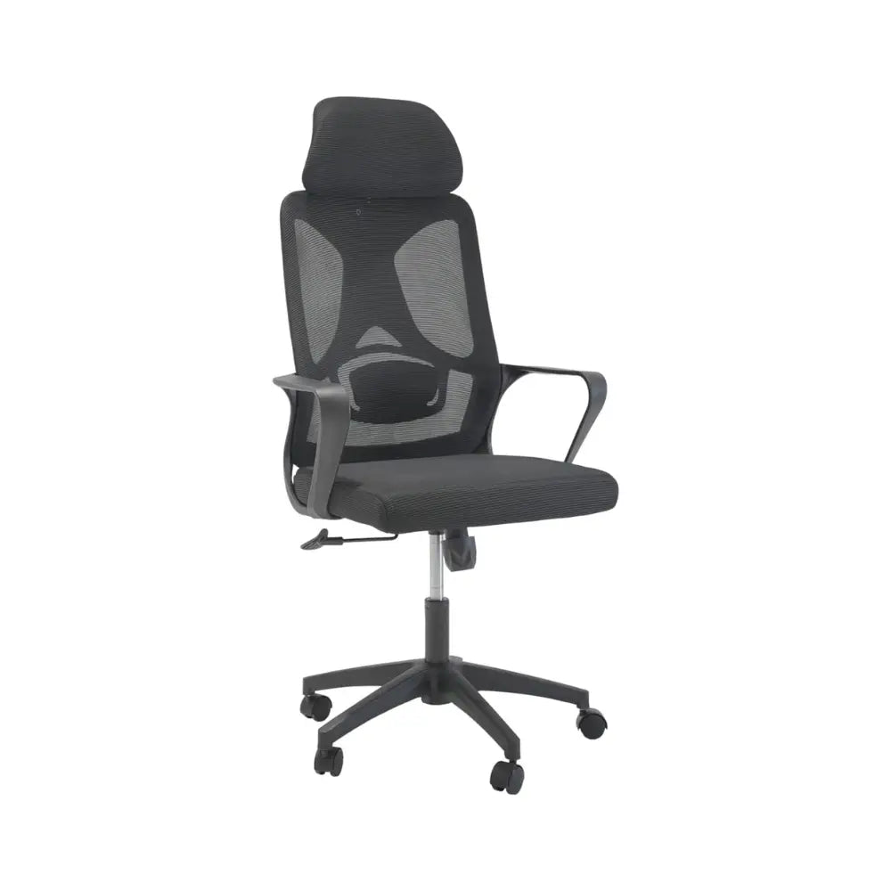 Adjustable Ergonomic Mesh Office Chair with Lumbar Support - Breathable High-Back Design for Comfort, Black-GCC Home Center