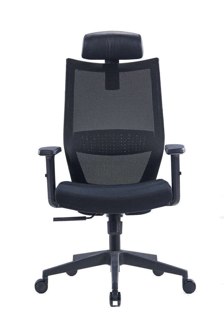 Adjustable Headrest High Back Mesh Computer Desk Chair