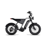 Load image into Gallery viewer, Arabian Mall D-3 Electric Fat Tire Bike | 1000W, 48V 18Ah, 20-Inch
