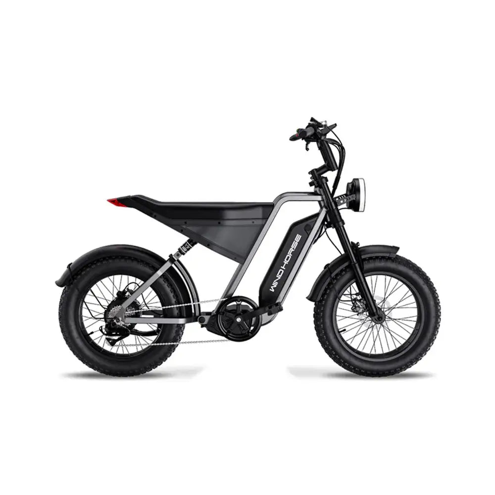 Arabian Mall D-3 Electric Fat Tire Bike | 1000W, 48V 18Ah, 20-Inch