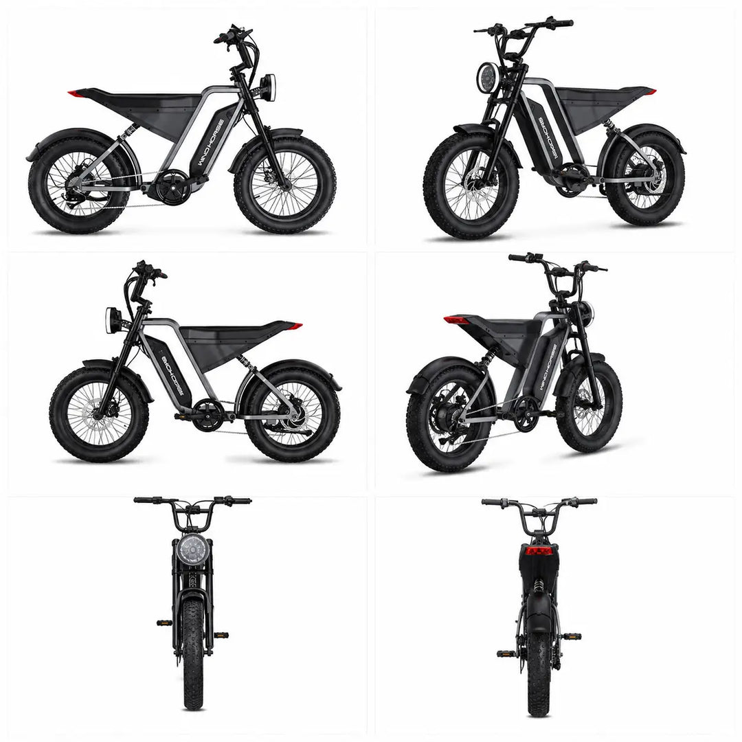 Arabian Mall D-3 Electric Fat Tire Bike | 1000W, 48V 18Ah, 20-Inch