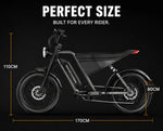 Load image into Gallery viewer, Arabian Mall D-3 Electric Fat Tire Bike | 1000W, 48V 18Ah, 20-Inch