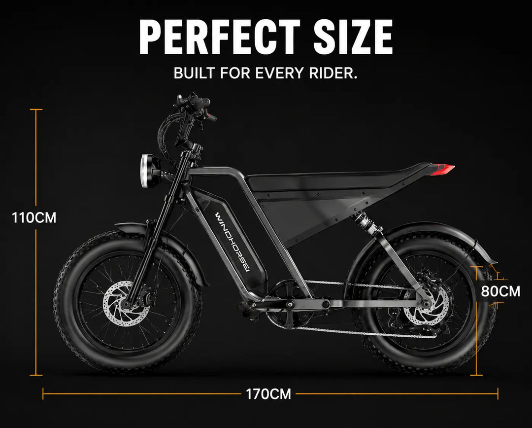 Arabian Mall D-3 Electric Fat Tire Bike | 1000W, 48V 18Ah, 20-Inch