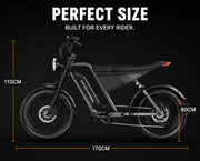 Arabian Mall D-3 Electric Fat Tire Bike | 1000W, 48V 18Ah, 20-Inch