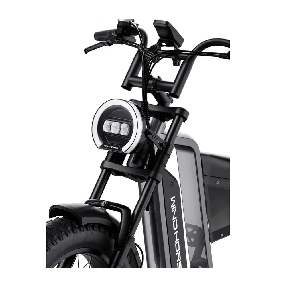 Arabian Mall D-3 Electric Fat Tire Bike | 1000W, 48V 18Ah, 20-Inch