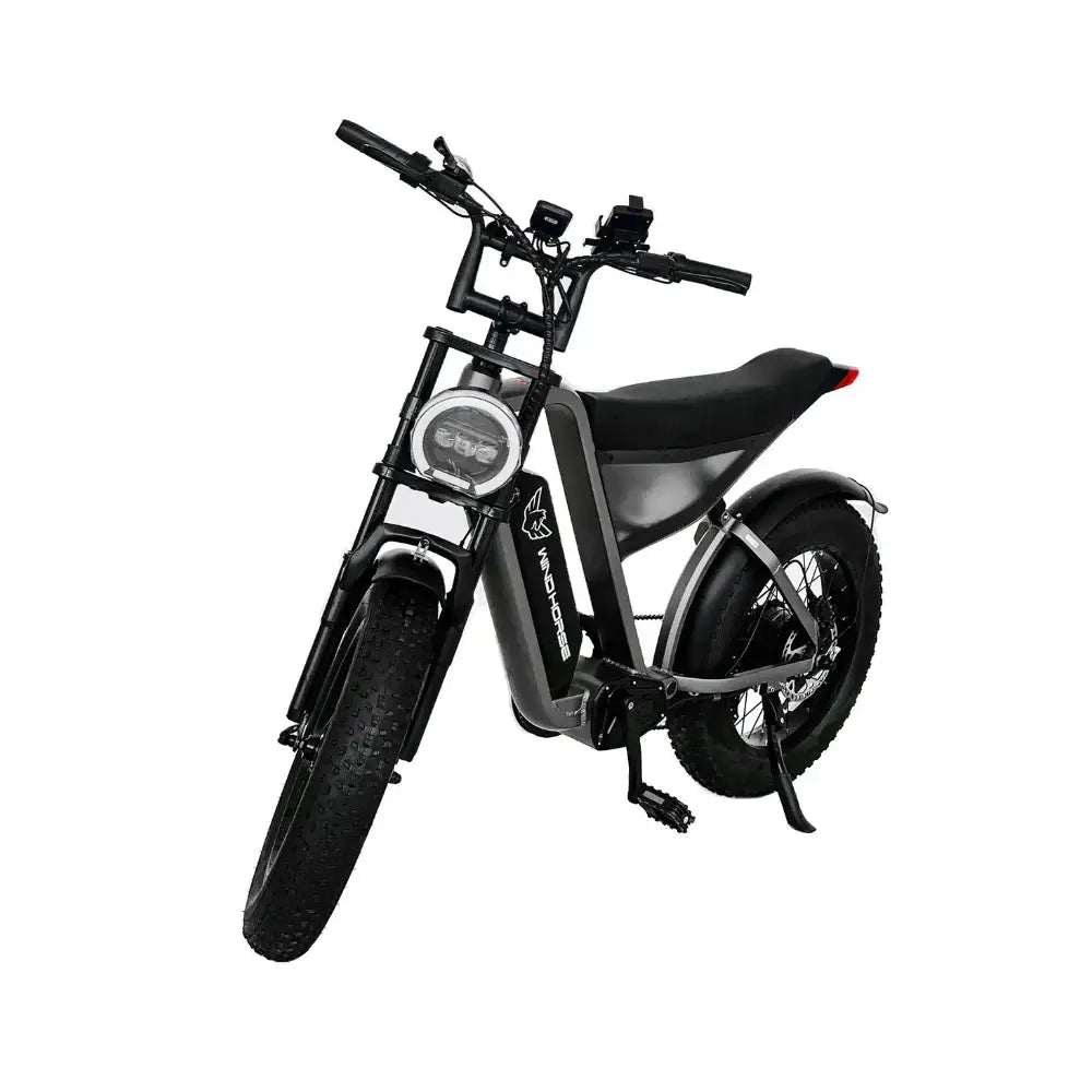 Arabian Mall D-3 Electric Fat Tire Bike | 1000W, 48V 18Ah, 20-Inch