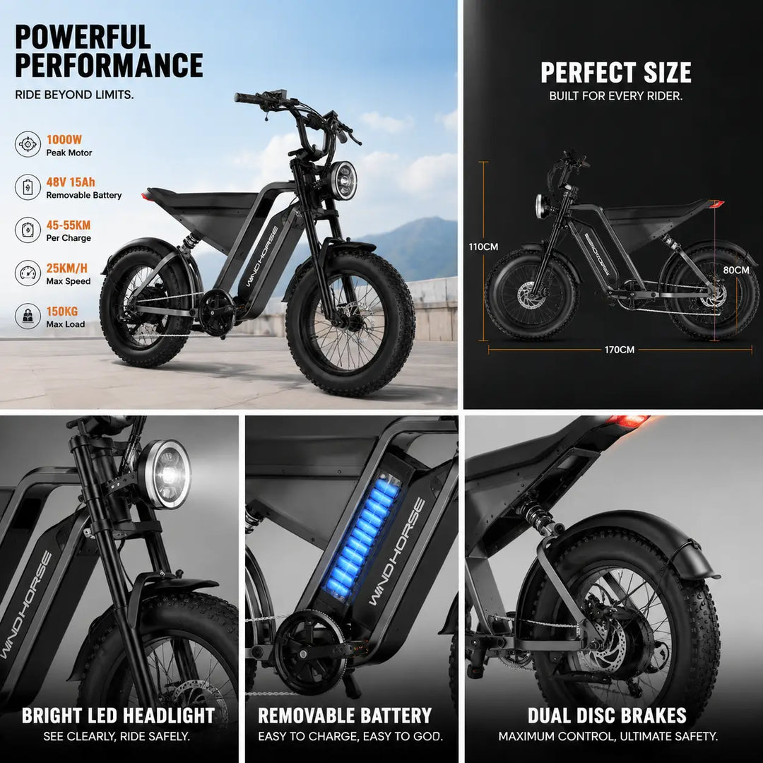 Arabian Mall D-3 Electric Fat Tire Bike | 1000W, 48V 18Ah, 20-Inch