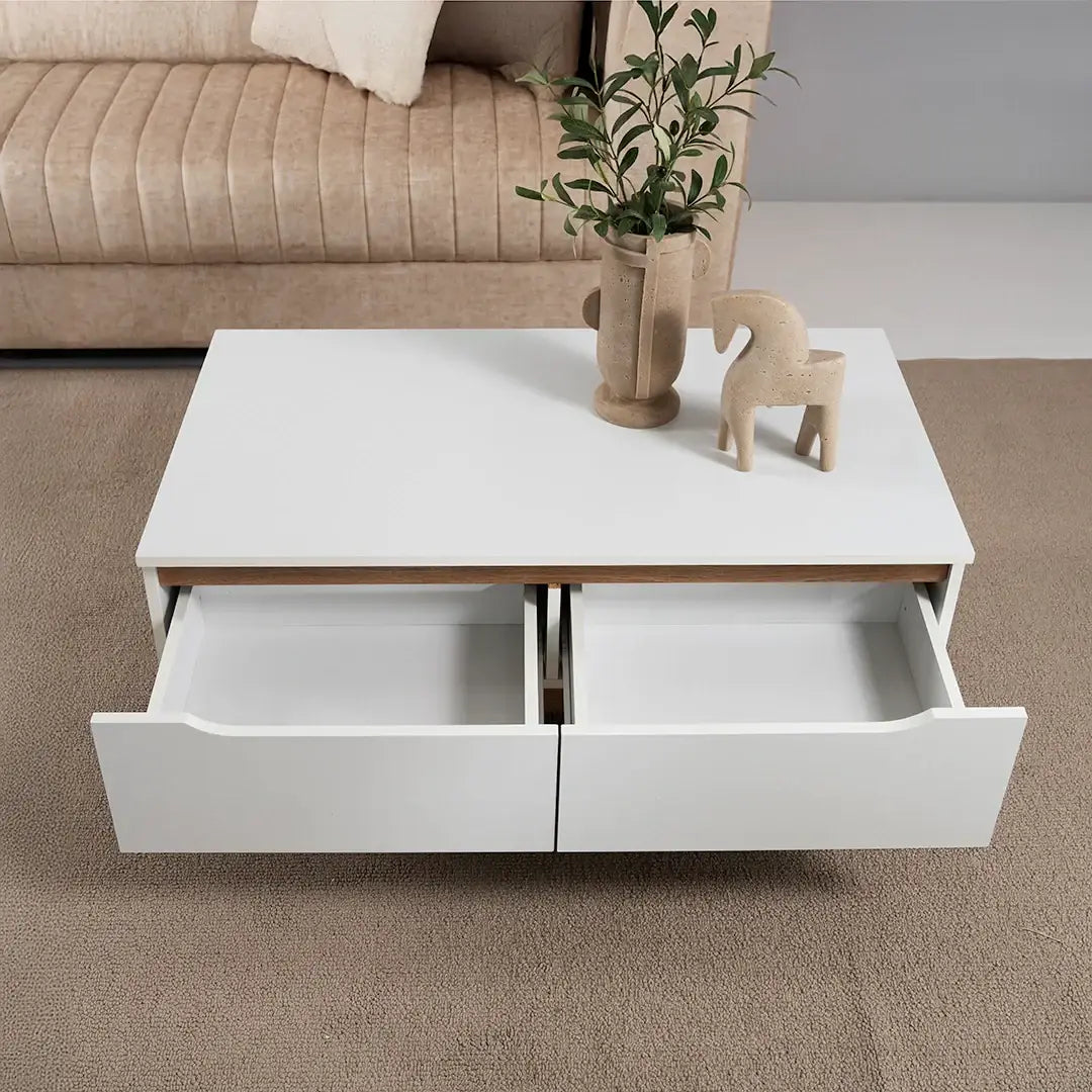 Coffee Table with 2 Storage Drawers - White & Oak Wooden