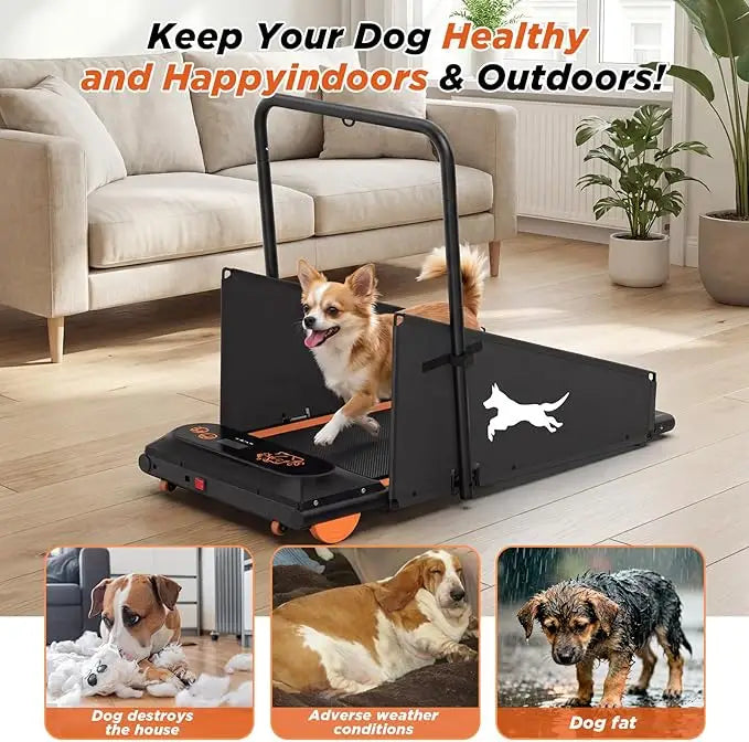 Dog Treadmill for Small & Medium Dogs – Quiet 2.5HP Motor, Remote Control, LED Display, Indoor Pet Exercise Machine