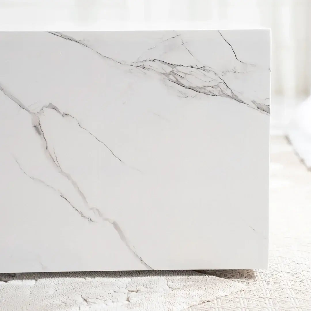 Elegant Coffee Table with 2 Storage Drawers