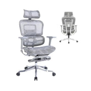 Ergonomic Grey Office Chair with Adjustable Features & Breathable Mesh Back - Aluminum Frame, 3D Armrests, and Alloy Base-GCC Home Center