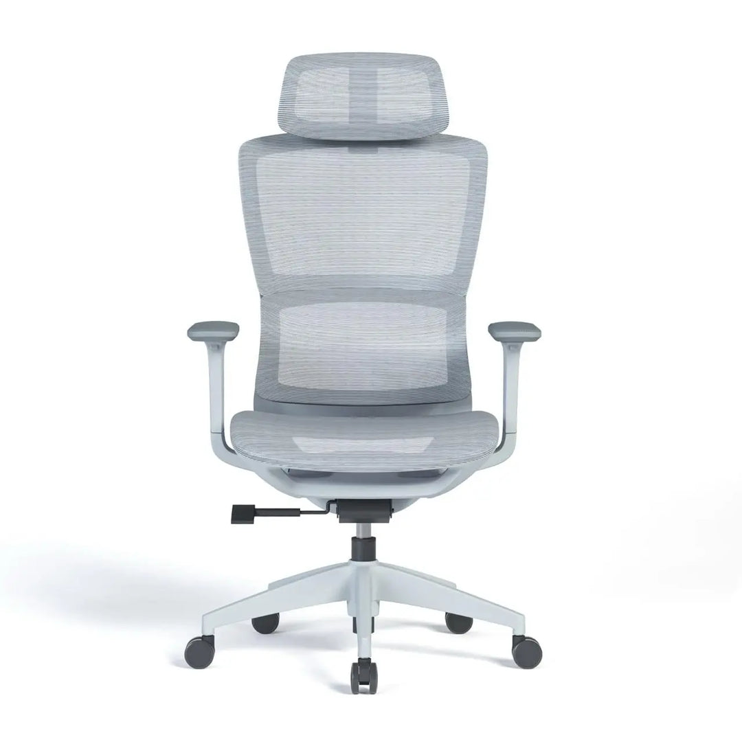 Ergonomic Mesh High-Back Office Chair with Adjustable Headrest and Lumbar Support – Full Mesh