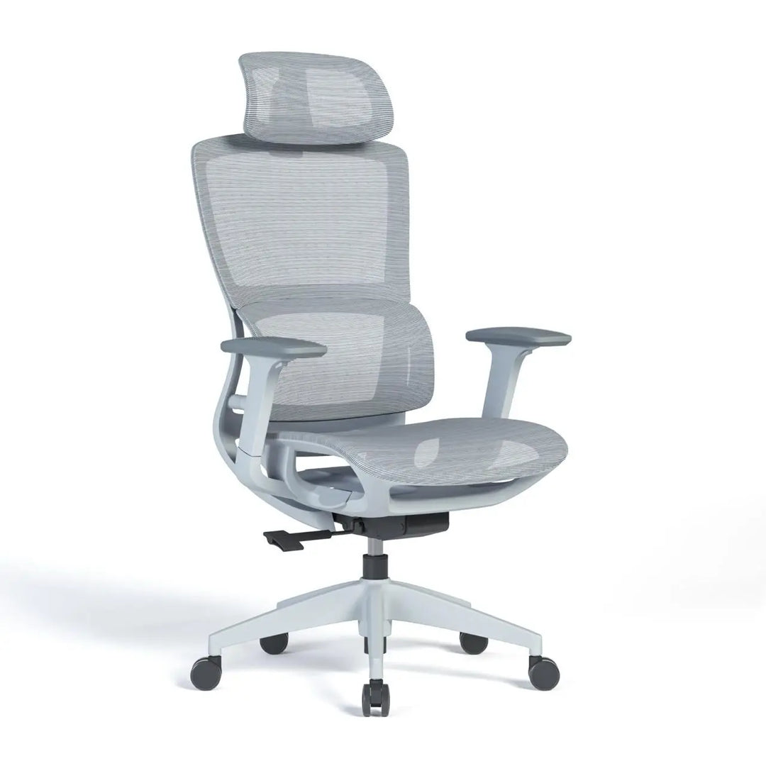 Ergonomic Mesh High-Back Office Chair with Adjustable Headrest and Lumbar Support – Full Mesh
