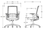 Load image into Gallery viewer, Ergonomic Office Chair – High-Density Seat, Adjustable Lumbar, Fixed Armrest