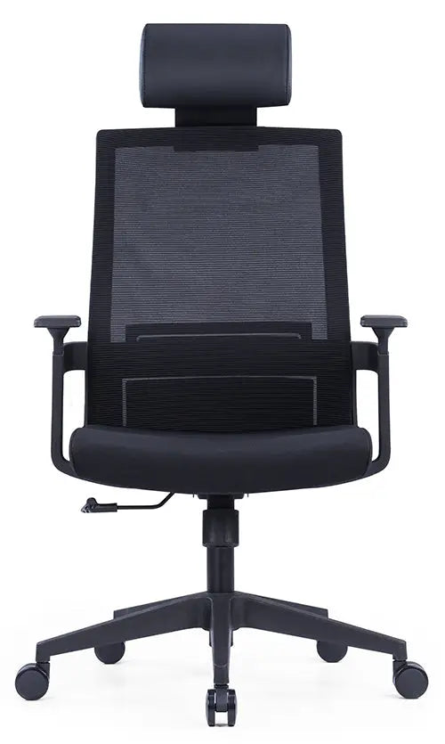 Ergonomic Office Chair – High-Density Seat, Adjustable Lumbar, Fixed Armrest