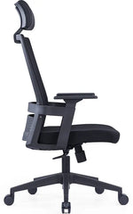 Load image into Gallery viewer, Ergonomic Office Chair – High-Density Seat, Adjustable Lumbar, Fixed Armrest