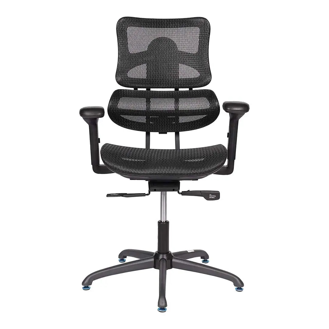 High Back Medicated Chair, Office Chair With Height Adjustable, Lumbar Support And 5 Swivel Wheels-GCC Home Center