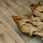 Load image into Gallery viewer, Luxury Coffee Table In Teak Root Wood In Natural Finish - Unique Natural Design