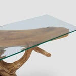 Load image into Gallery viewer, Luxury Coffee Table with Teak Root Wood in Natural Finish