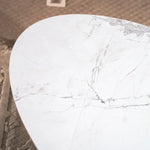 Load image into Gallery viewer, Modern Coffee Table Set of 2
