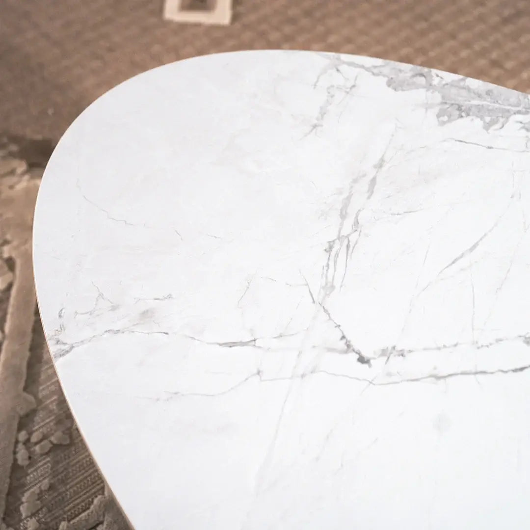 Modern Coffee Table Set of 2