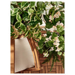 Load image into Gallery viewer, Outdoor Foldable Chair, Light Brown Stained