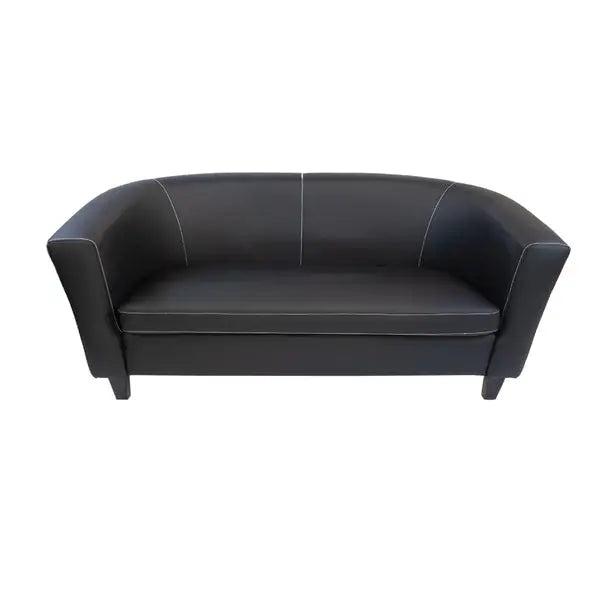 PU Leather And Modern Style 2-Seater Customizable Sofa